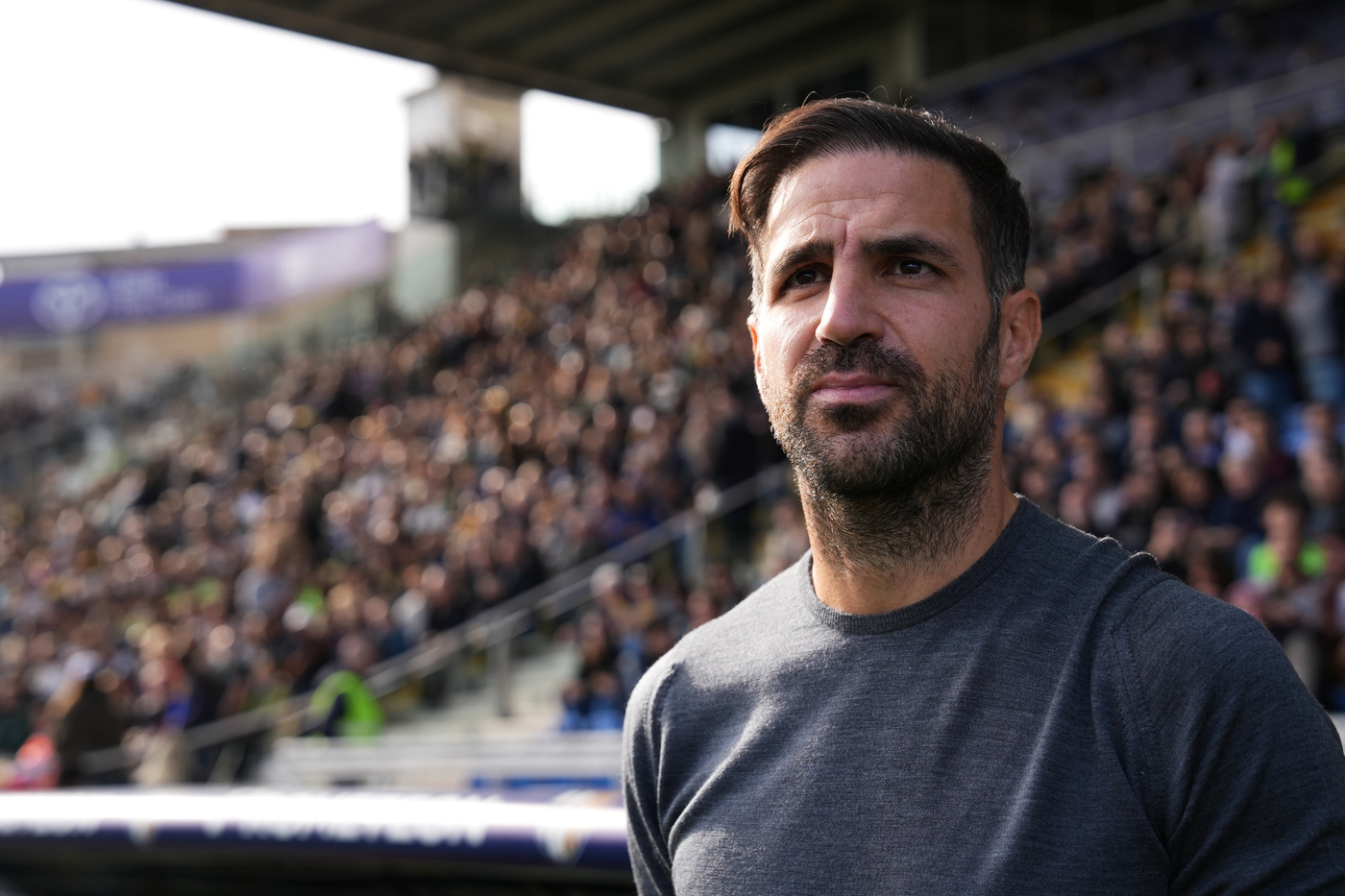 Cesc Fabregas allenatore Como